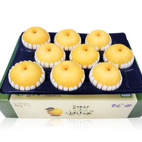 [바로배송] [농협공판장] 정성드린 프리미엄 천안배세트 7.5kg(특11-12과내)
