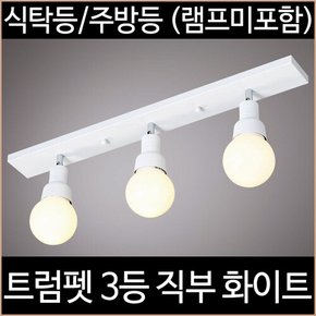 트럼펫 3등 직부 주방등 화이트