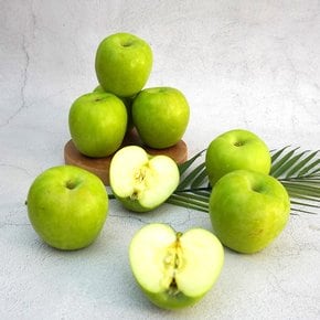 [더조은] 여름사과 썸머킹 사과 정품 3kg 15-18과