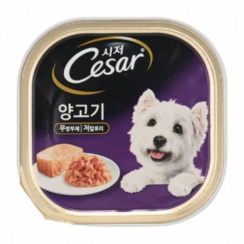 이미지1