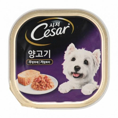이미지4