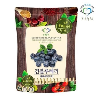 푸른들판 건블루베리 300g 반건조 말린 건조 블루베리 과일 말린거 마른과일 간식 말랭이