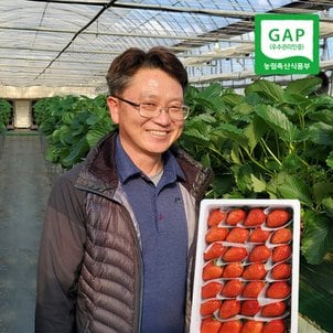 친환경팔도 [산지직송] 충북옥천 신홍석님의 GAP 생딸기(설향/특품) 1kg