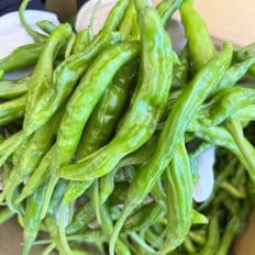  특품 햇꽈리 꽈리고추 장아찌용 안매운꽈리고추 1kg