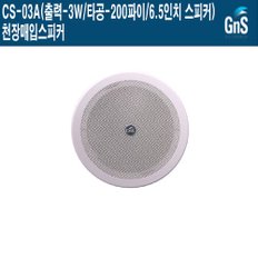 CS-03A 주상복합 안내방송 지앤에스 천장매입스피커