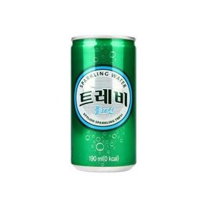 롯데칠성 트레비 플레인 탄산수 190ml x 60캔.H