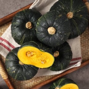 직수입 뉴질랜드산 단호박 3kg (3~5알) / 알당 700g~1.5kg