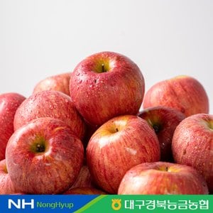 대구경북능금농협 청송 가정용 사과 3kg 12-15과 부사