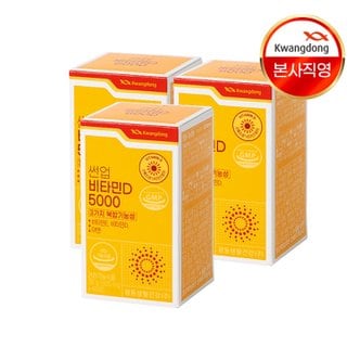 광동 썬업 비타민D5000 츄어블 60정 3박스(6개월분)