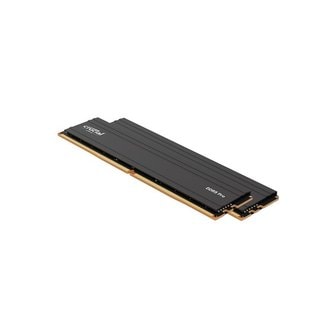  마이크론 Crucial DDR5-6000 CL48 PRO 패키지 대원씨티에스 (32GB(16Gx2))