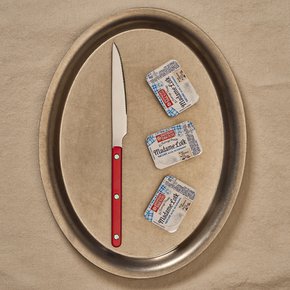 스텐 셀레스트 벨루어 커트러리 나이프 브릭 레드