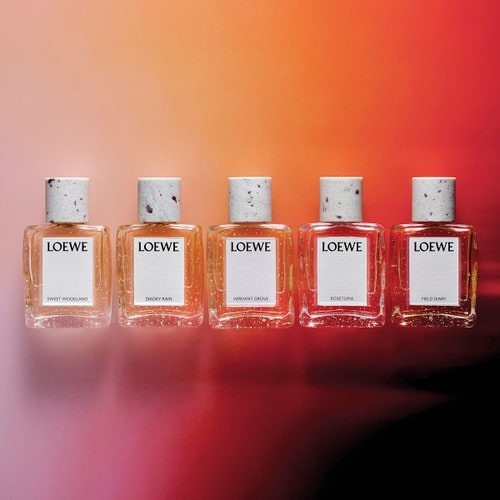 로즈토피아 오 드 퍼퓸 100ML