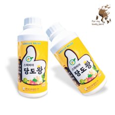 스테비아 당도왕 500ml 주말농장 텃밭비료 특허기술 당도 경도 향상