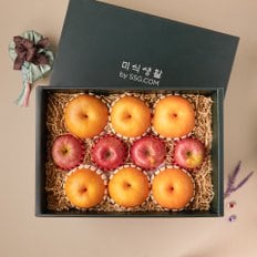 SSG 명품 사과/배 세트 6.5kg (사과4+배6)