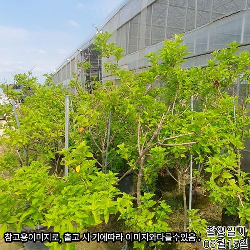 추가이미지5
