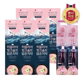 엘지생활건강 히말라야핑크솔트 치약 플로럴민트 100g X 6개 + 핑크솔트 담은칫솔 2입