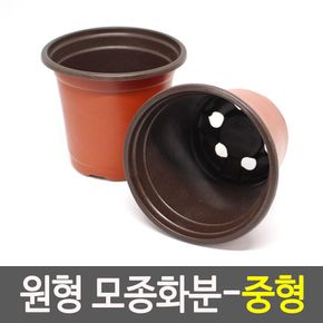 원형 모종화분 중형 원예화분 이색포트소형 플라스틱