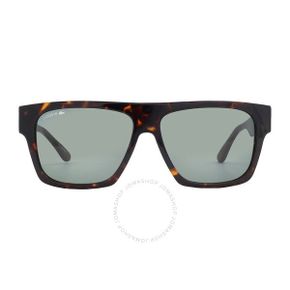 4826664 Lacoste Grey Browline Mens Sunglasses