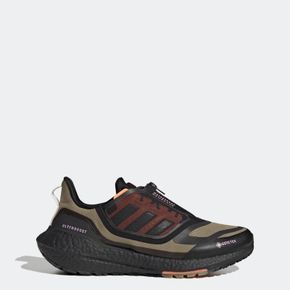 4236184 Mens adidas Ultraboost 22 GORE-TEX Running Shoes 72178652