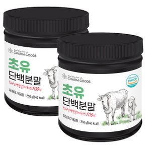 SINVII 초유 단백질 분말 250g 2통