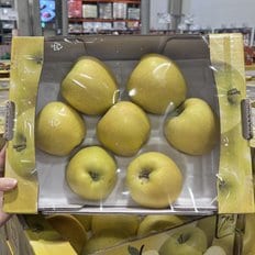 글로벌푸드 코스트코 황금사과 2.5kg / 시나노골드사과