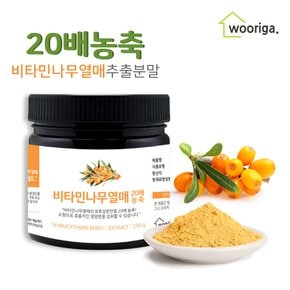 20배농축 비타민나무 열매 추출물 분말 250g 1통