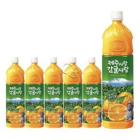 제주사랑 감귤사랑 주스 1.5L 6펫