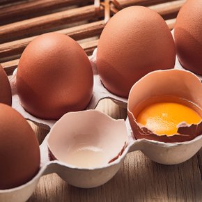 [한솔양계 맘란] 무항생제 유정란 대란 30구  /폴리페놀나노코팅 KAIST 계란 달걀