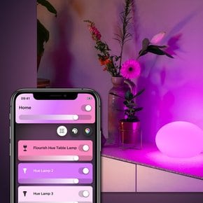 필립스 휴 플러리쉬 테이블 램프 스마트 무드등