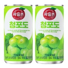 과일촌 청포도 드링크 175ml x 60캔 캔음료 음료수캔 캔음료수 서비스 음료수도매