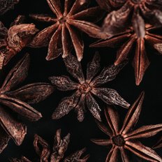 신영 팔각 스타 아니스 100g 중국 향신료 Star Anise