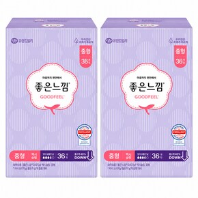 좋은느낌 오리지날 맥시슬림 중형 날개 36개입 x2팩_P305989690