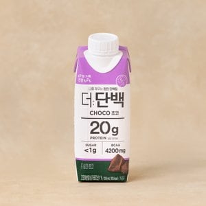 빙그레 빙)더단백 드링크 초코 250ml