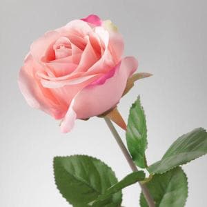 이케아 SSG 스뮈카 조화 장미 핑크 52cm