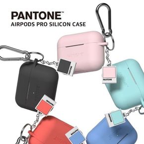 PANTONE 에어팟 프로 케이스