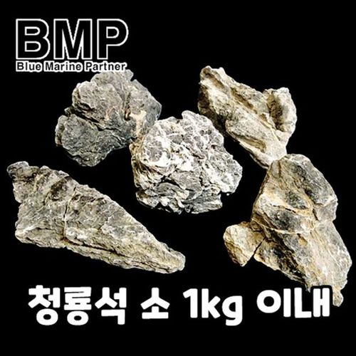 사이즈 랜덤 BMP 수조 레이아웃 청룡석 미만 소 1kg X ( 4매입 )