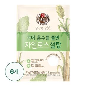 [CJ] [G] 백설 하얀 자일로스설탕 2kg X 6개