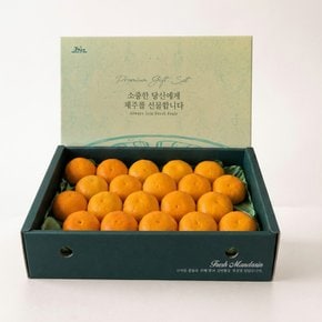 [17일9시명절전마감]프리미엄 제주 황금향 선물세트 2.5kg 16과 내외