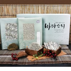 감사6호 선물세트 (남해안산 세멸220g+중멸 200g) / 쇼핑백동봉