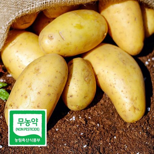 상품 이미지 2