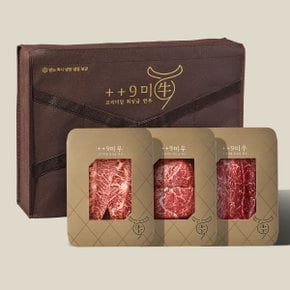 [바로배송]1++No9등급 투뿔 한우 혼합 1호 선물세트 700g (부채 200g/국거리 200g/불고기 300g)