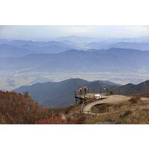 [당일/10~11월] 11봉 지리산 노고단·피아골 산행│백두대간 36 하라