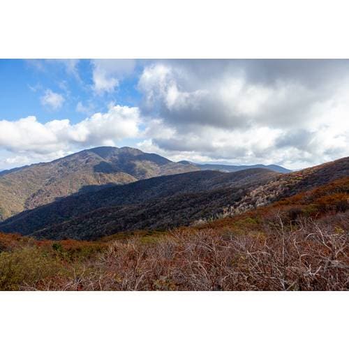 https://media.eoding.com/media/travelagent/40/imagecontent/노고단 피아골 2.jpg