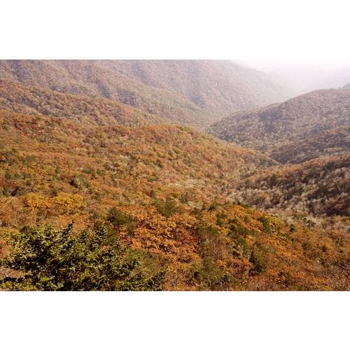 https://media.eoding.com/media/travelagent/40/imagecontent/지리산_fQx0Oqi.jpg