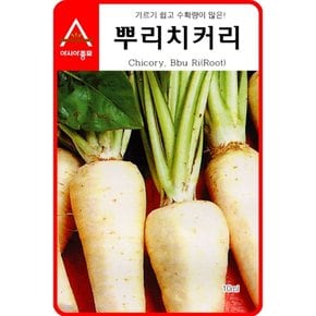 치커리씨앗종자 뿌리치커리(3000립)