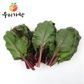 비트 500g