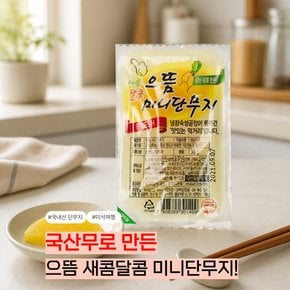 국내산무 만든 으뜸 미니단무지 30g