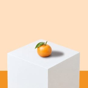 프리미엄 당도선별 하우스 감귤 선물용 2kg