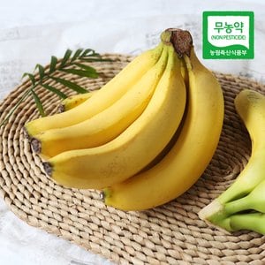 친환경팔도 [산지직송] 제주 김순일님의 무농약 바나나 2.5kg