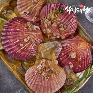 식탐대첩 국내산 통영 세척 비단 홍 가리비 3kg